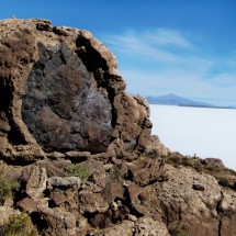 Magma rocks embedded by salt corals